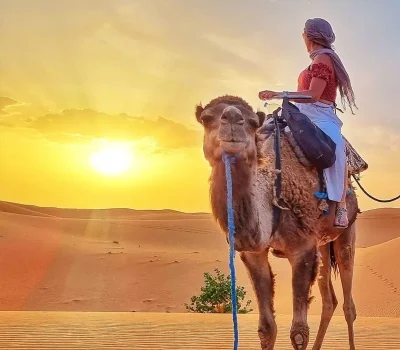 11-days-grand-south-morocco-experience-tour-from-marrakech