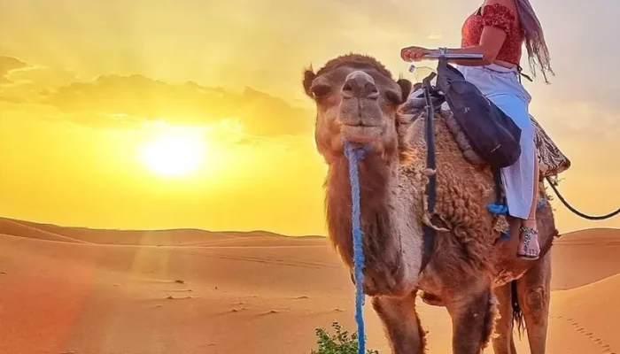 11-days-grand-south-morocco-experience-tour-from-marrakech