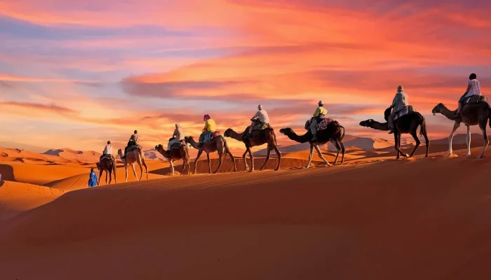 144604_646fb22c99d76