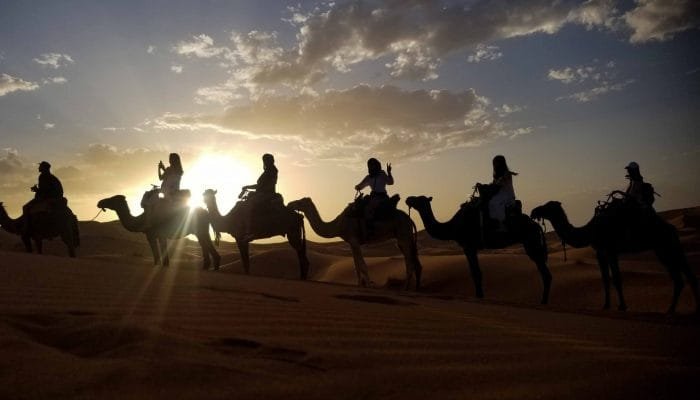 Camel ride Merzouga