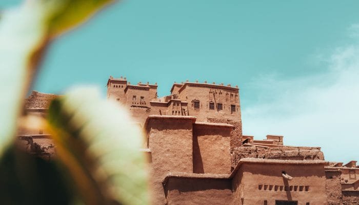 a building with many windows