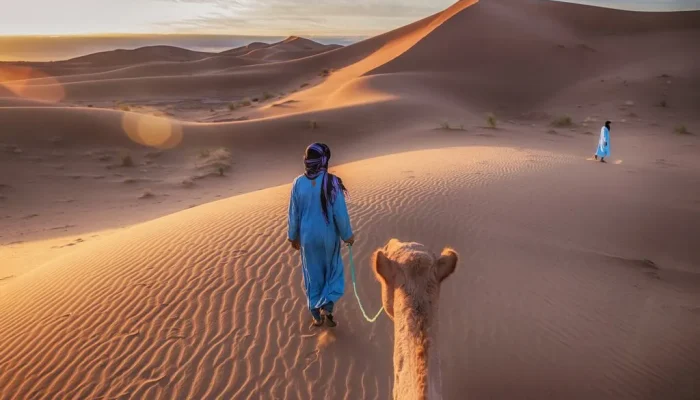 Camel rides in the Erg Chigaga