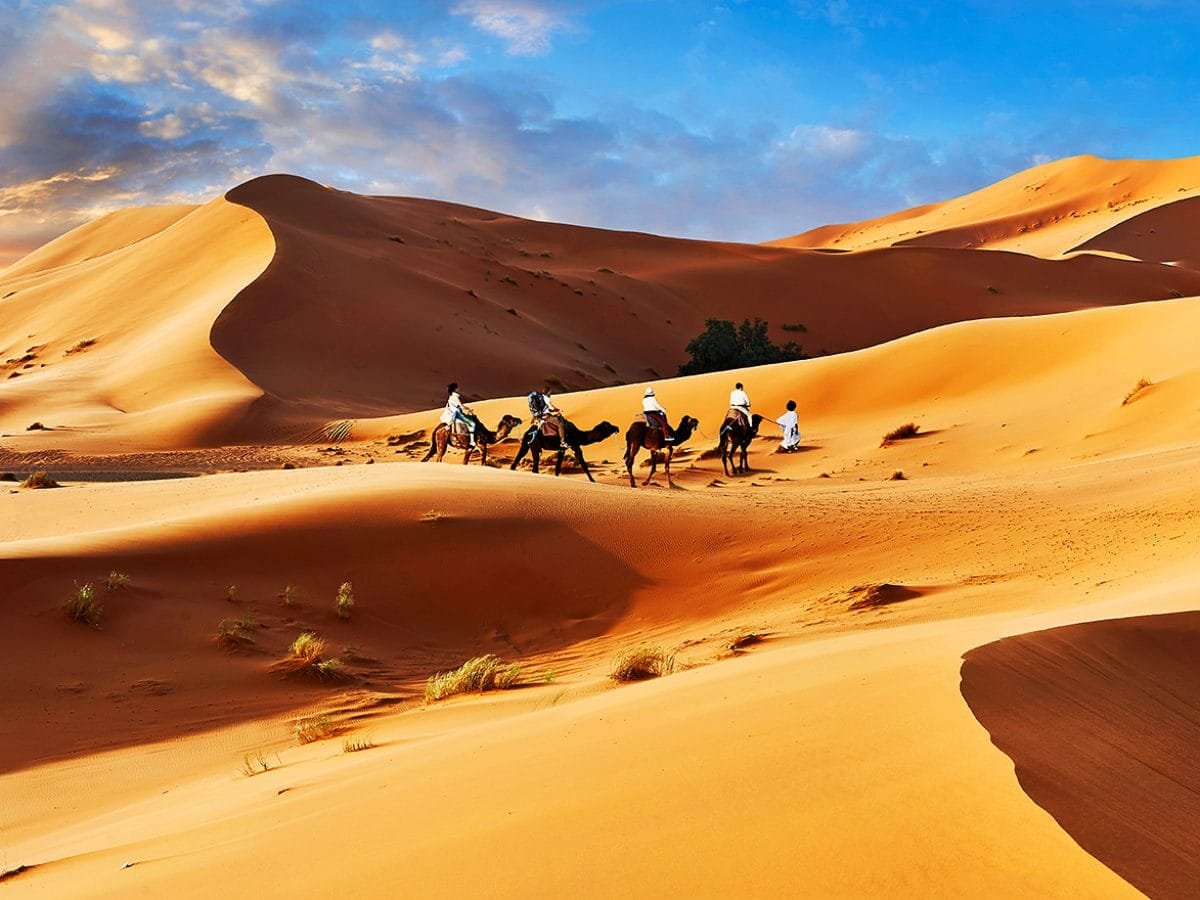  Camels rides amongst the Sahara sand dunes of erg Chebbi, Morocco, Africa