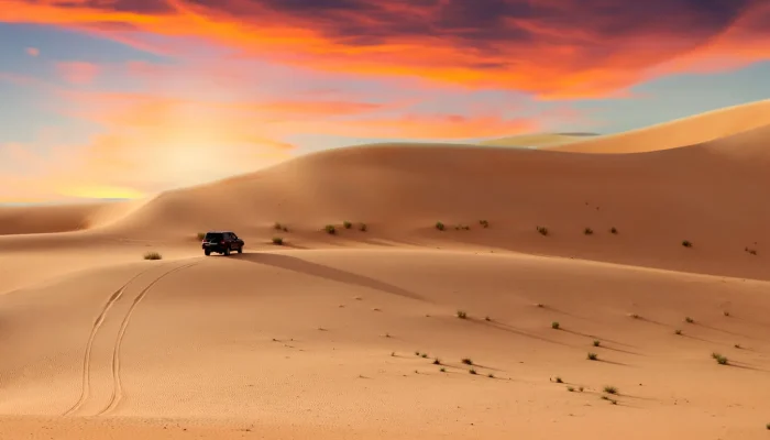 desert-safari-evening-package-booking - Copie