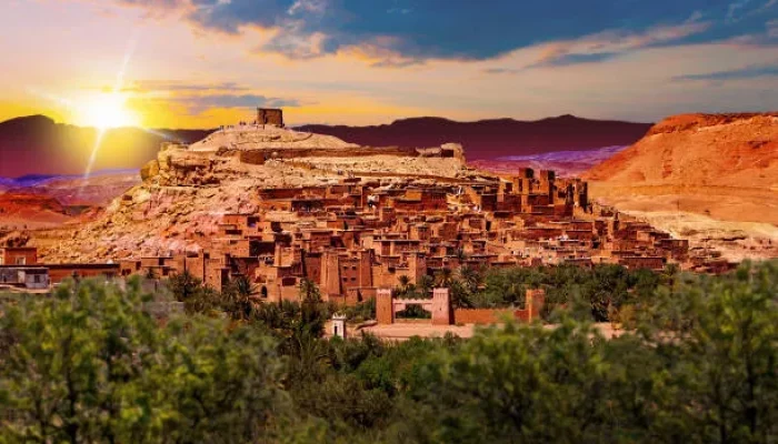 istockphoto-1214476725-612x612