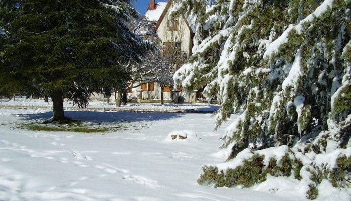 visite-alentours-fes-ifrane-1-1.jpg