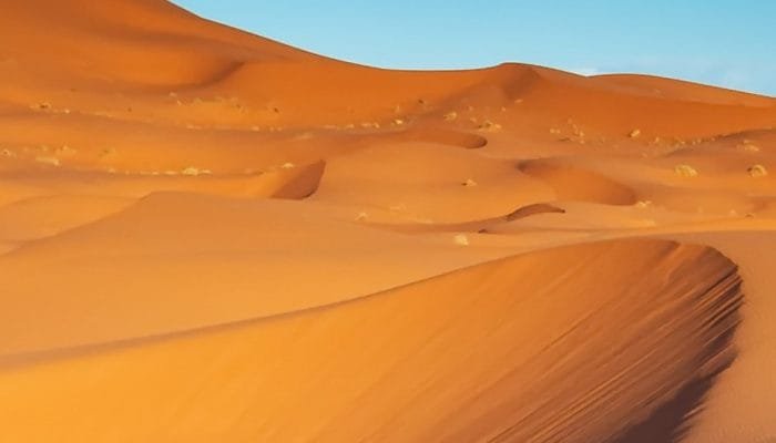 Camels,Trekking,Guided,Safari,Tours,In,Merzouga,Morocco,Sahara,Desert