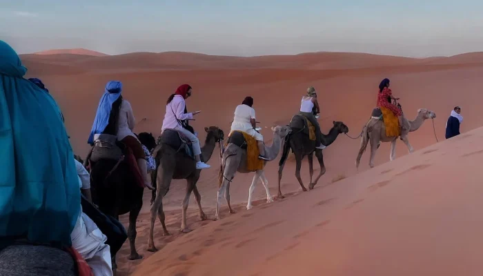 405802718_247172674827521_1619332682357898952_n