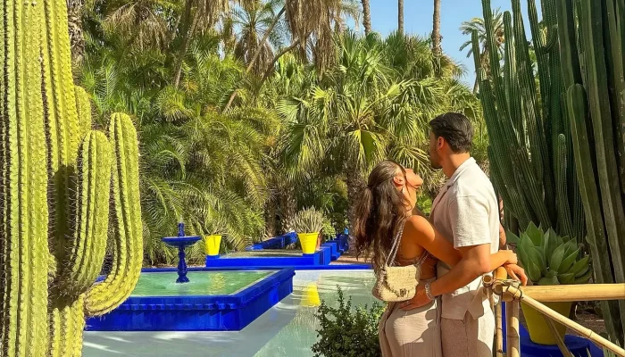 439472800_1474879240084428_6540260980644055374_n