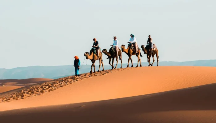 Camel Caravan in Moroccan Desert