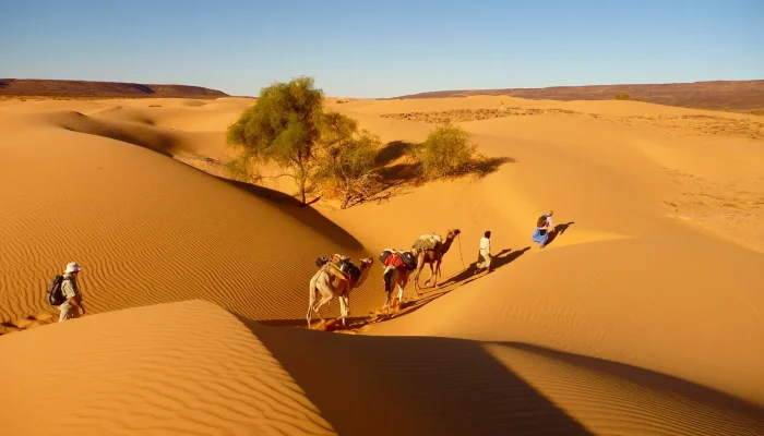 3 day camel trek morocco