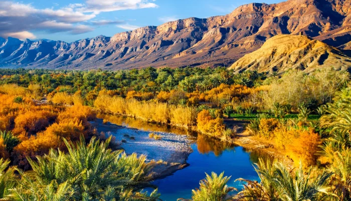 a river running through draa valley with mountains in the background
