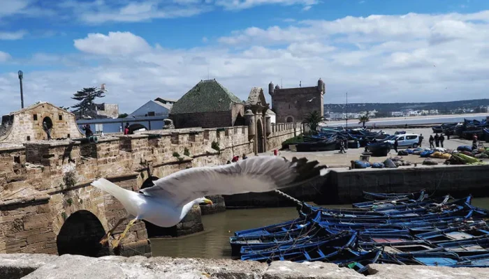 ESSAOUIRA-DAY-TRIP-FROM-MARRAKECH1