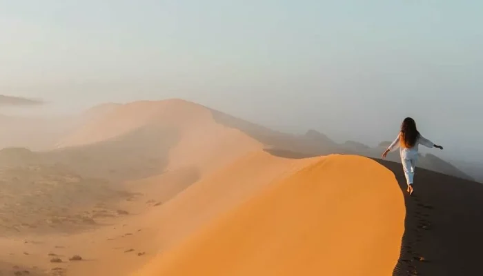 a sand dune in the desert