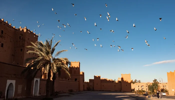 Ouarzazate ksar taourirt