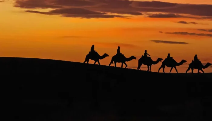 a group of people riding camels
