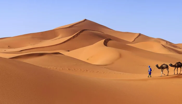 a sand dunes in the desert