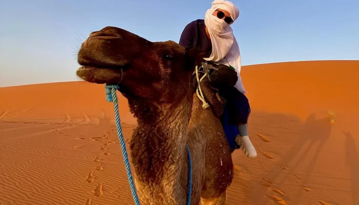 best morocco travel 8