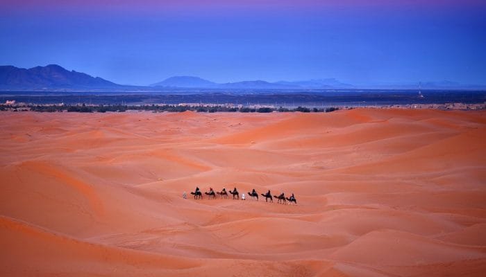 Camel trekking in Erg Chebbi, Western Sahara, Morocco