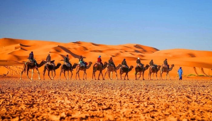 a group of people riding camels in the desert