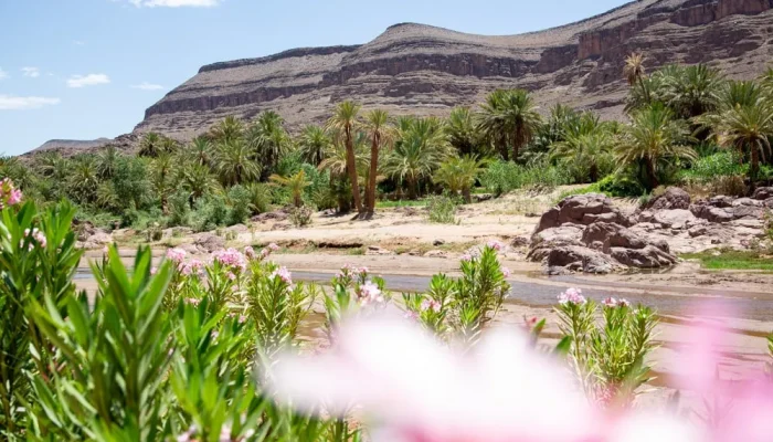 ouarzazate-morocco-28