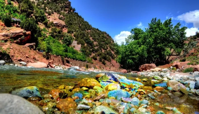 ourika marrakech (1)