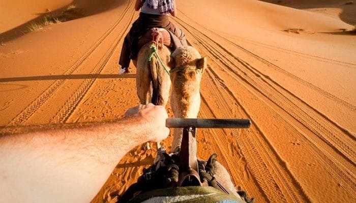riding-camels-1