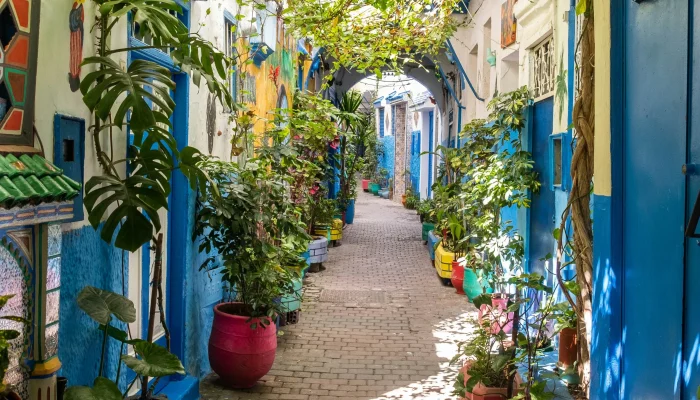 shutterstock1412324267-RFC