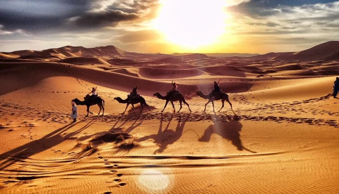 sunset-camel-tour4